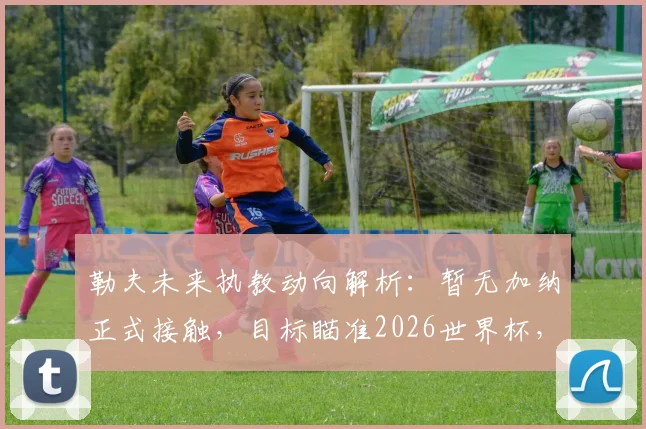 勒夫未来执教动向解析：暂无加纳正式接触，目标瞄准2026世界杯，欧洲名帅拒绝退休